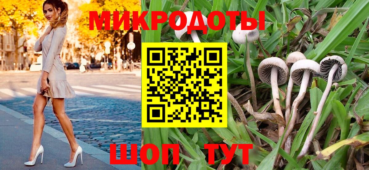 Галлюциногенные грибы Psilocybine cubensis  Галлюциногенные грибы Psilocybine cubensis  Красный Сулин  Вход с VPN 